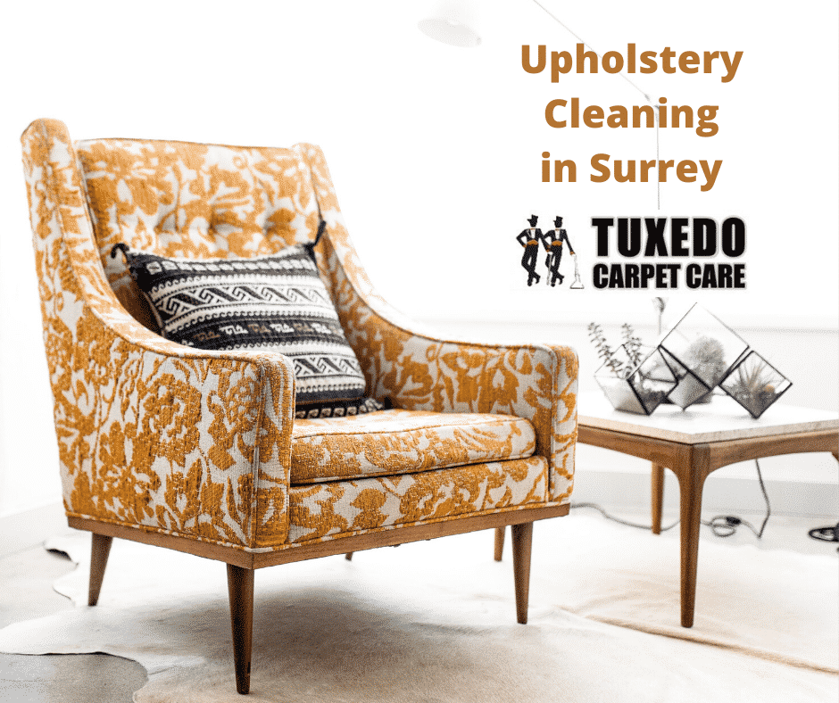 Why Upholstery Cleaning Matters