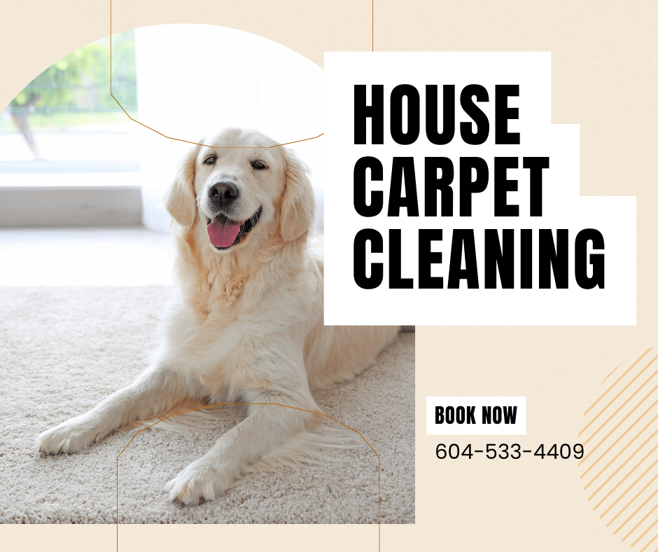 Carpet Cleaning for Pet Owners