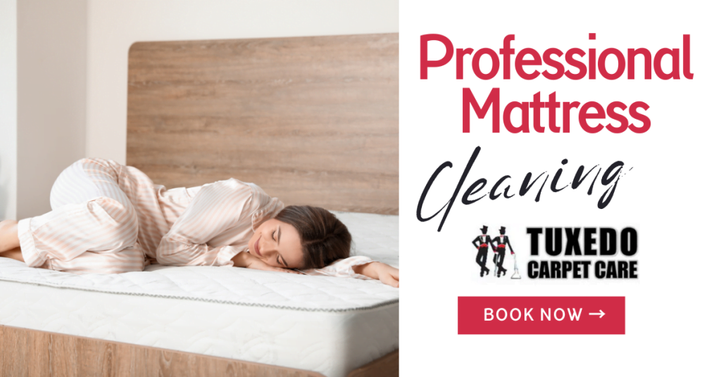 Professional Mattress Cleaning